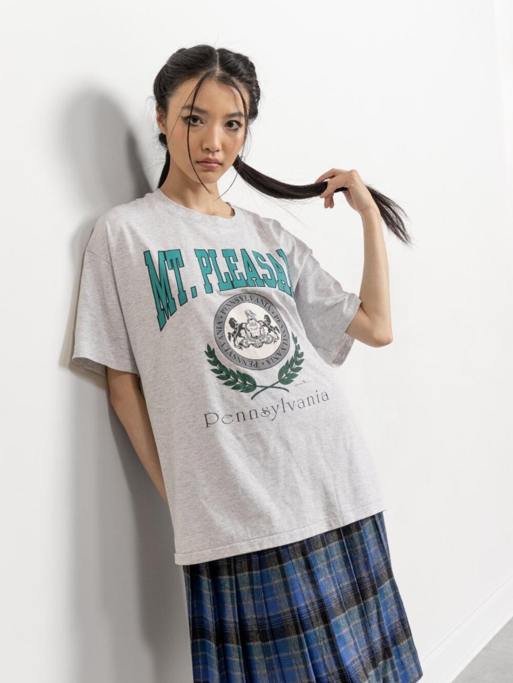 Vintage Mt. Pleasant Pennsylvania Tourist Tee, Heather Gray XL